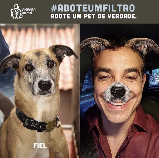 Agência brasileira cria campanha com animais selvagens aderindo à moda dos  selfies